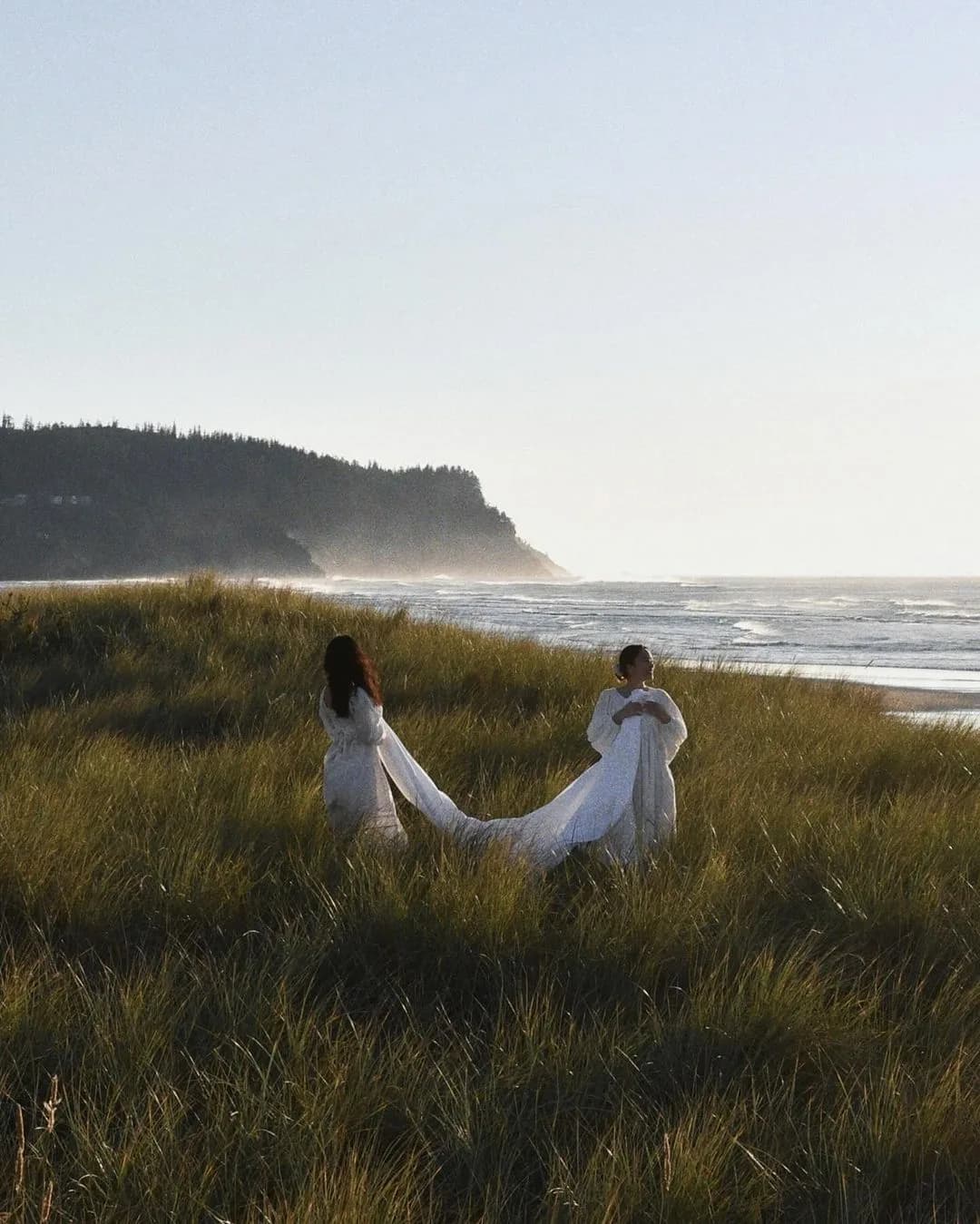 Eucolypso plastic free bedding