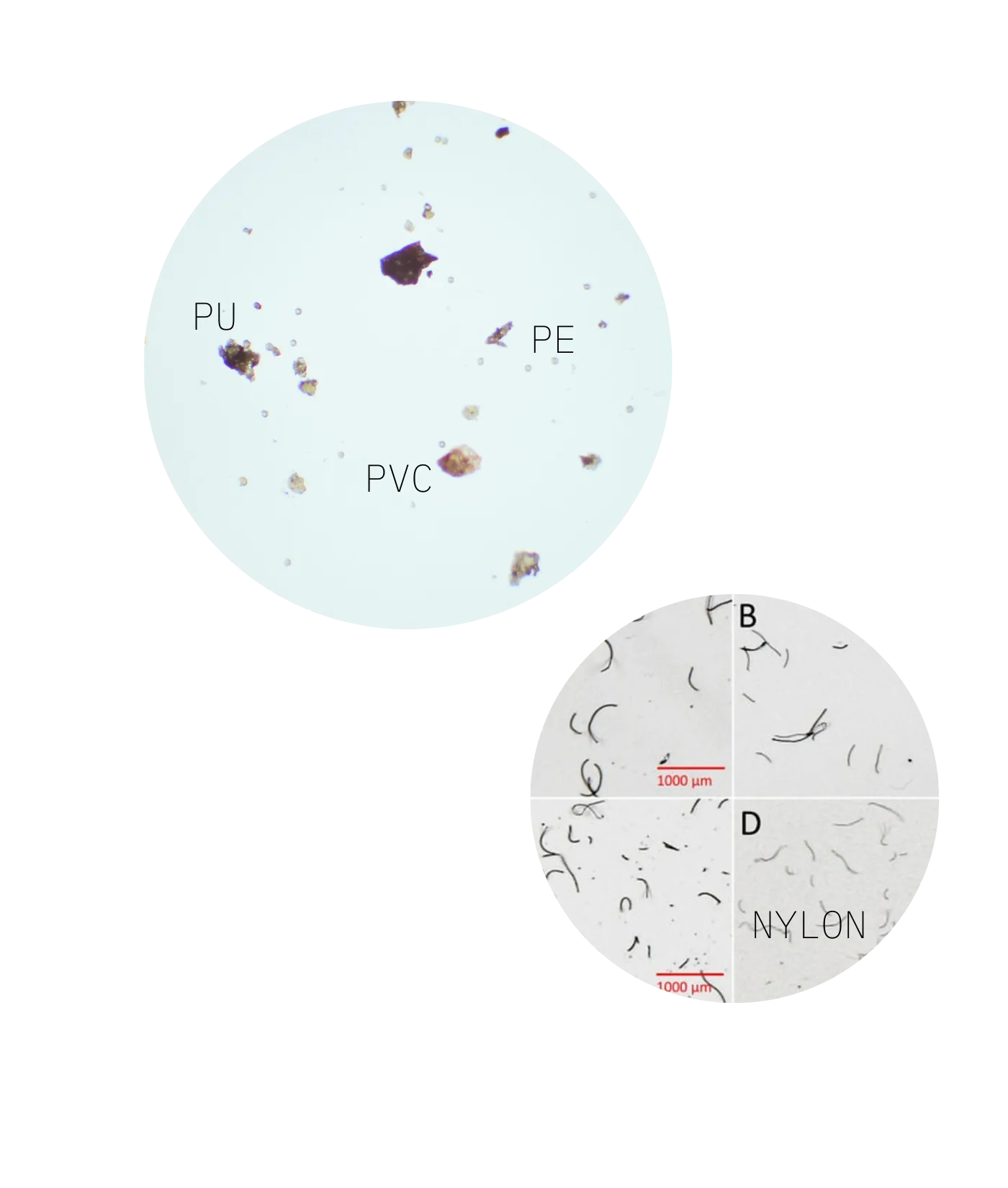 Microscopic microplastics